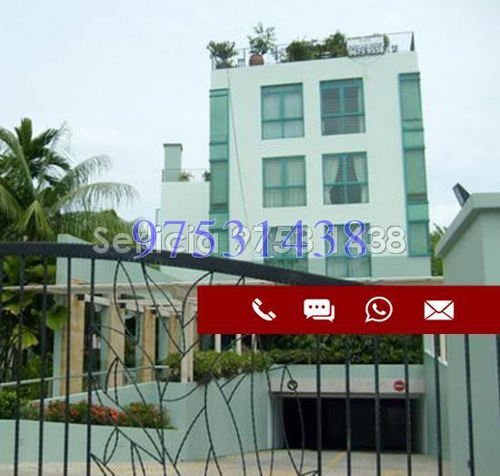 Celadon View (D17), Apartment #168777012